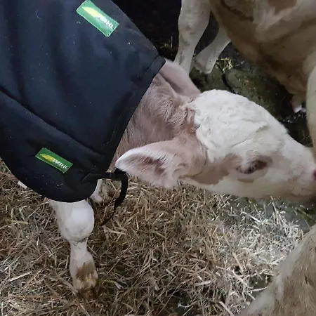 Séjour à la ferme Gaestehaus Annemarie
