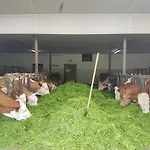 农家乐 Gaestehaus Annemarie 瑞姆斯汀