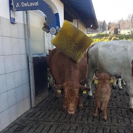 Gaestehaus Annemarie Séjour à la ferme *