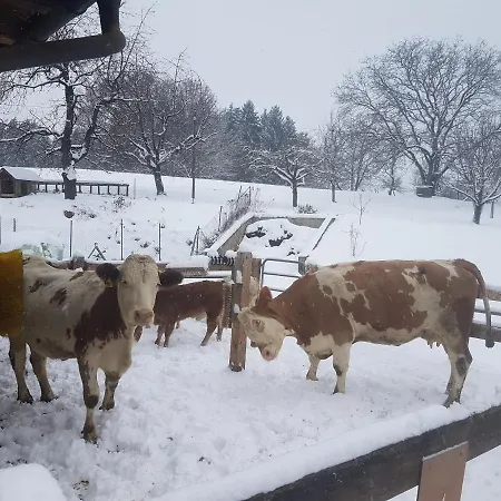 Farm stay Gaestehaus Annemarie Rimsting