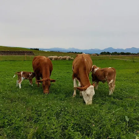 Farm stay Gaestehaus Annemarie *