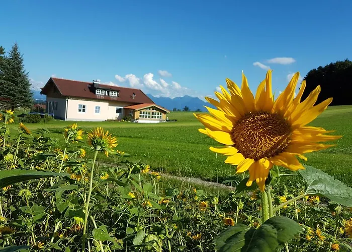 Farm stay Gaestehaus Annemarie *