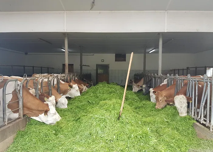 Farm stay Gaestehaus Annemarie Rimsting