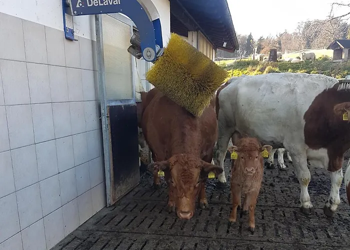 Gaestehaus Annemarie Farm stay *