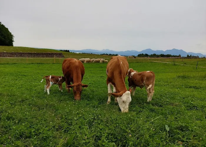 Farm stay Gaestehaus Annemarie *