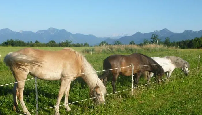 Gaestehaus Annemarie Farm stay